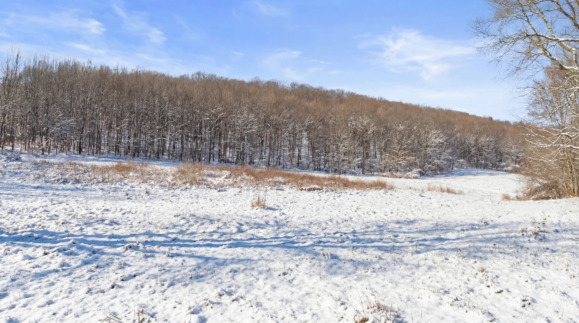 L9.113 Lutheranville Road, Summit, NY 12175