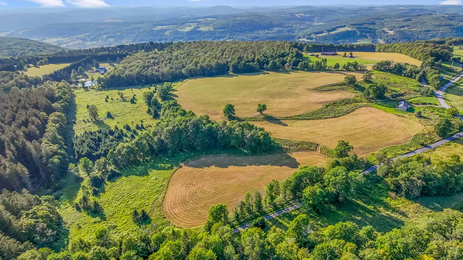 137 Stone Ridge Dr, Charlotteville, New York 12036