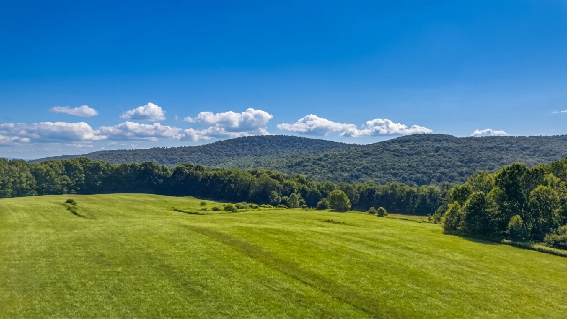 L14.02 Hinman Rd, Cooperstown, NY 13326