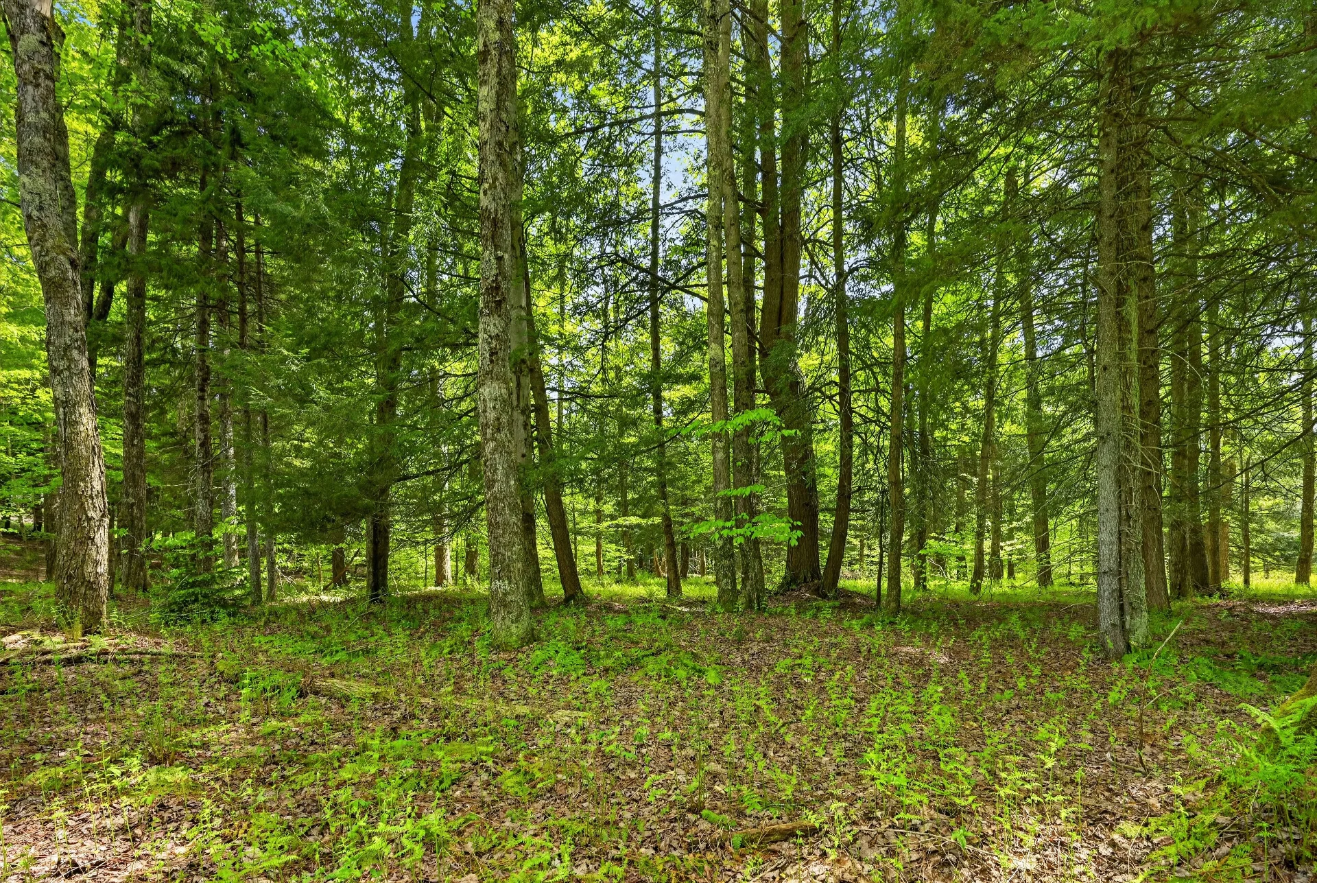 L1.6 Crystal Brook Path, Jefferson, NY 12093