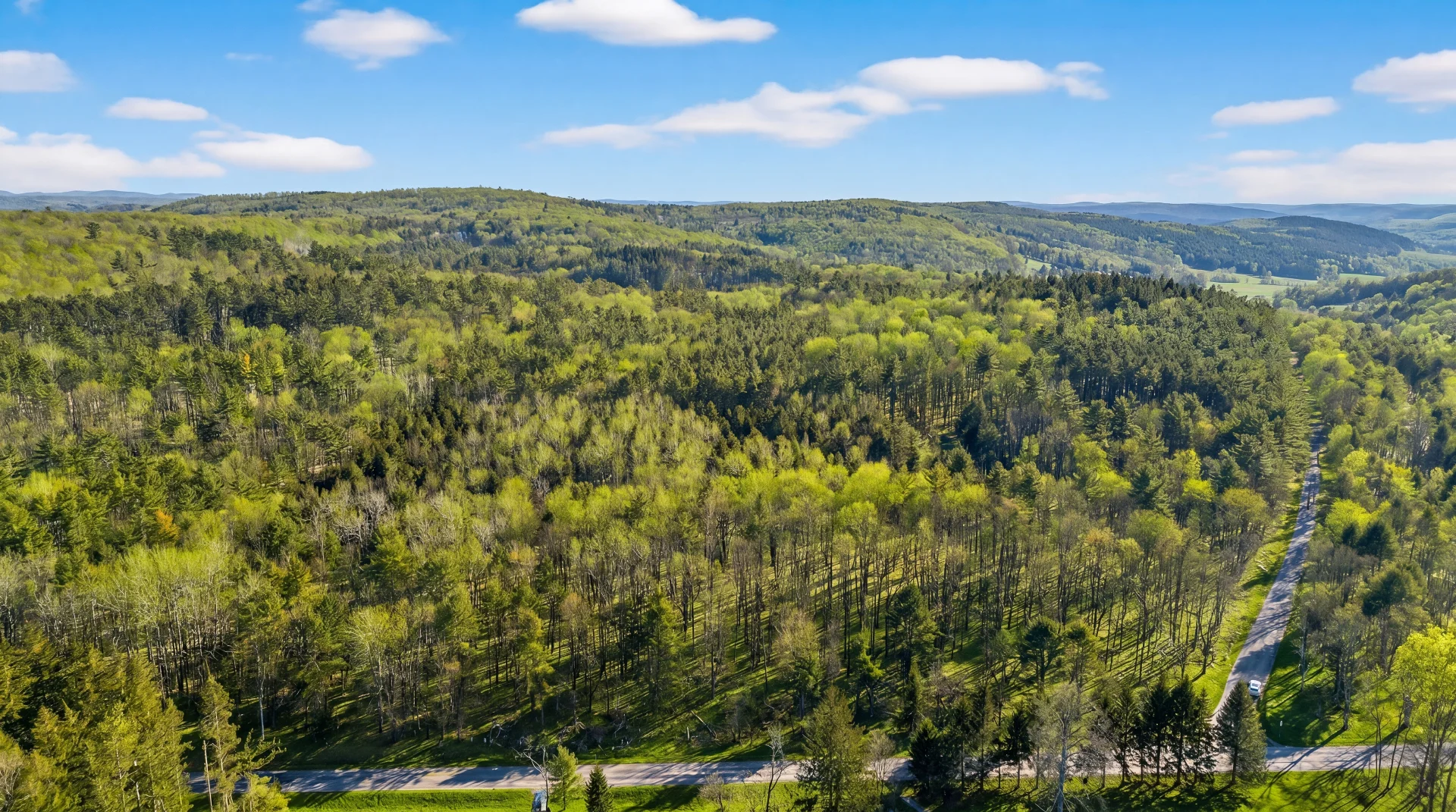 L29 County Highway 45, Hartwick, New York 13807