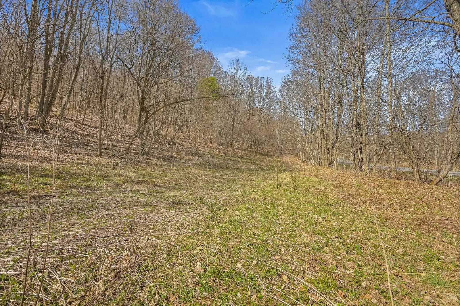 L9.112 Lutheranville Road, Summit, NY 12175