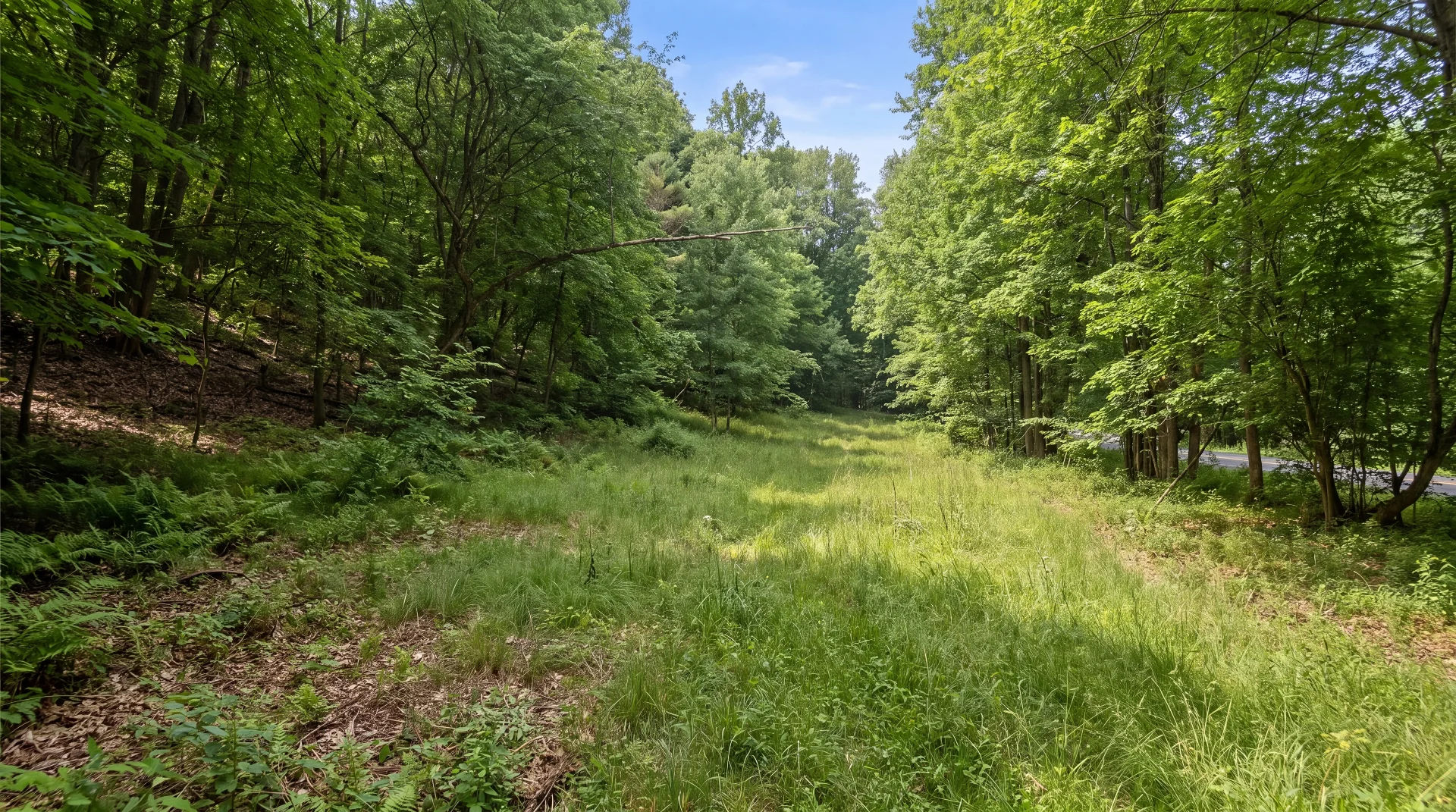 L9.112 Lutheranville Road, Summit, NY 12175