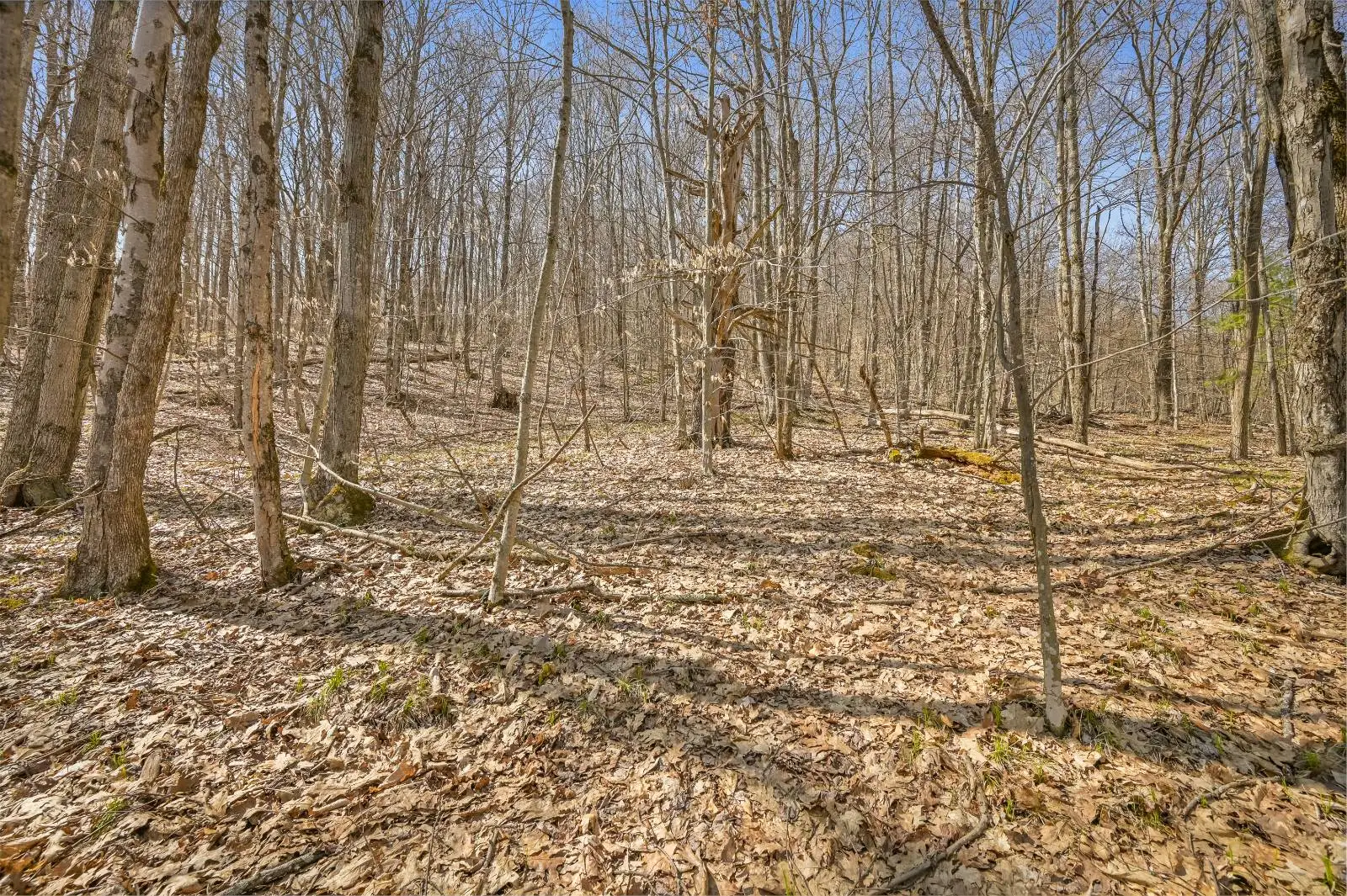 L9.113 Lutheranville Road, Summit, NY 12175