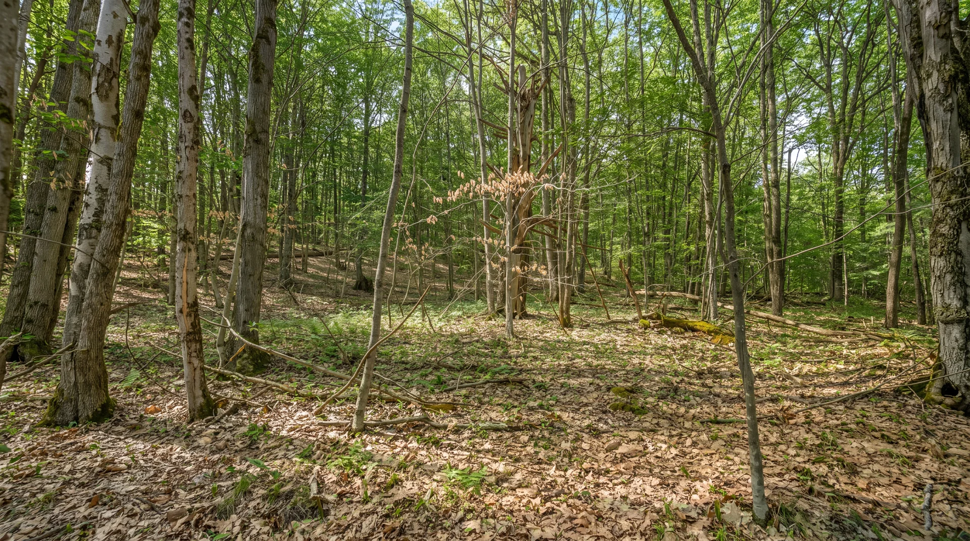 L9.113 Lutheranville Road, Summit, NY 12175