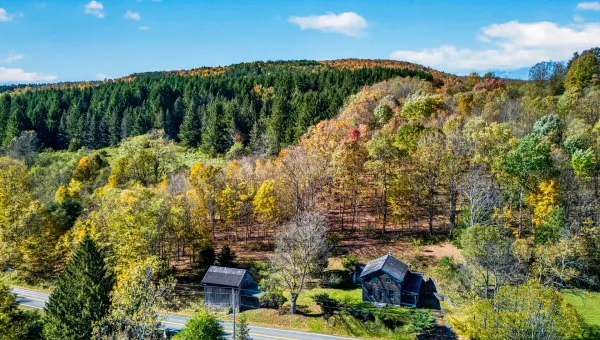 737 Charlotte Valley Rd, Charlotteville, NY 12036