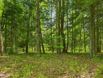 L1.6 Crystal Brook Path, Jefferson, NY 12093