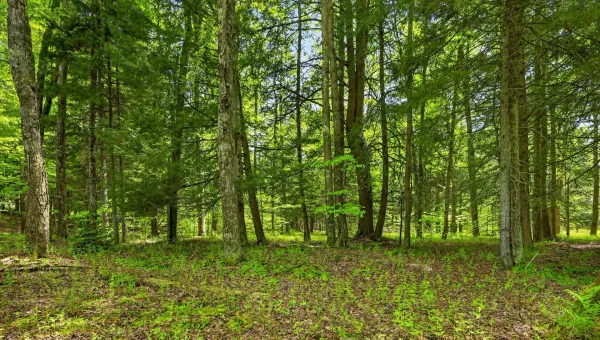 L1.6 Crystal Brook Path, Jefferson, NY 12093