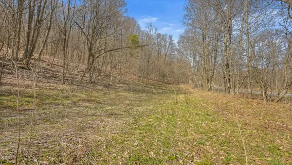 L9.112 Lutheranville Road, Summit, NY 12175