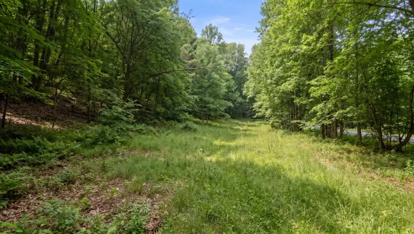L9.112 Lutheranville Road, Summit, NY 12175