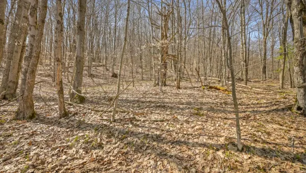 L9.113 Lutheranville Road, Summit, NY 12175