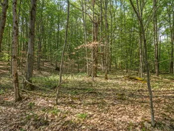 L9.113 Lutheranville Road, Summit, NY 12175