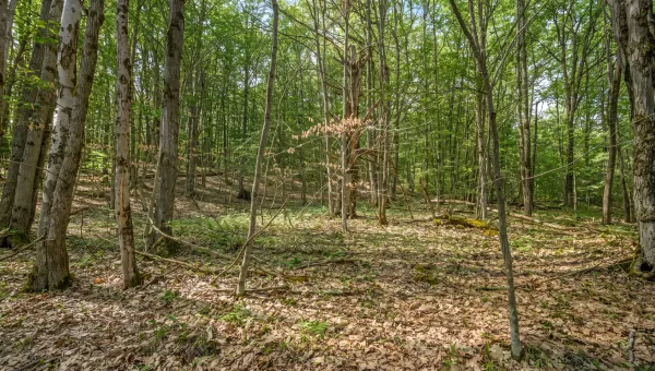 L9.113 Lutheranville Road, Summit, NY 12175