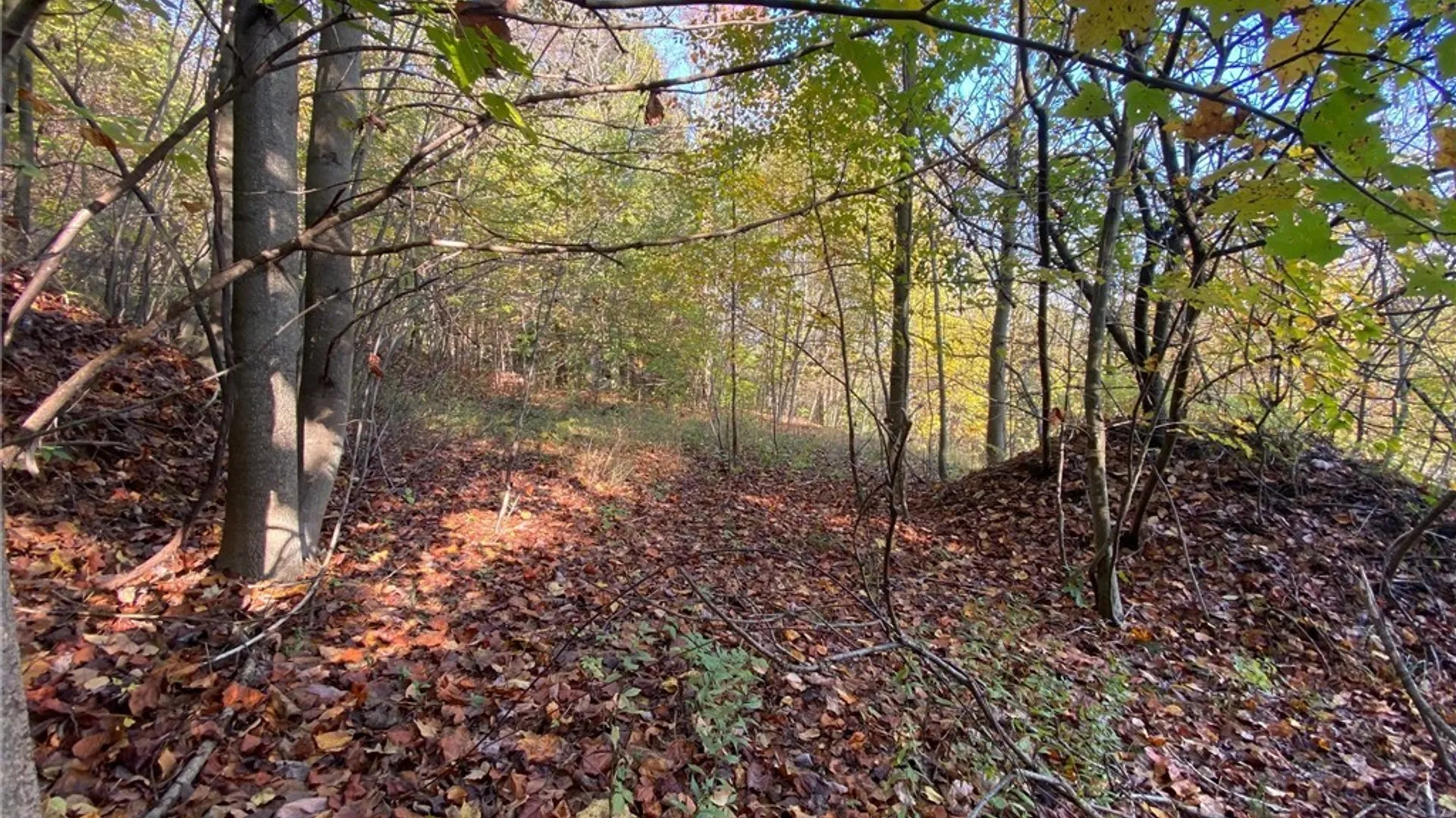 Property at V/L Hillcroft Drive, Boston, NY 14025 11