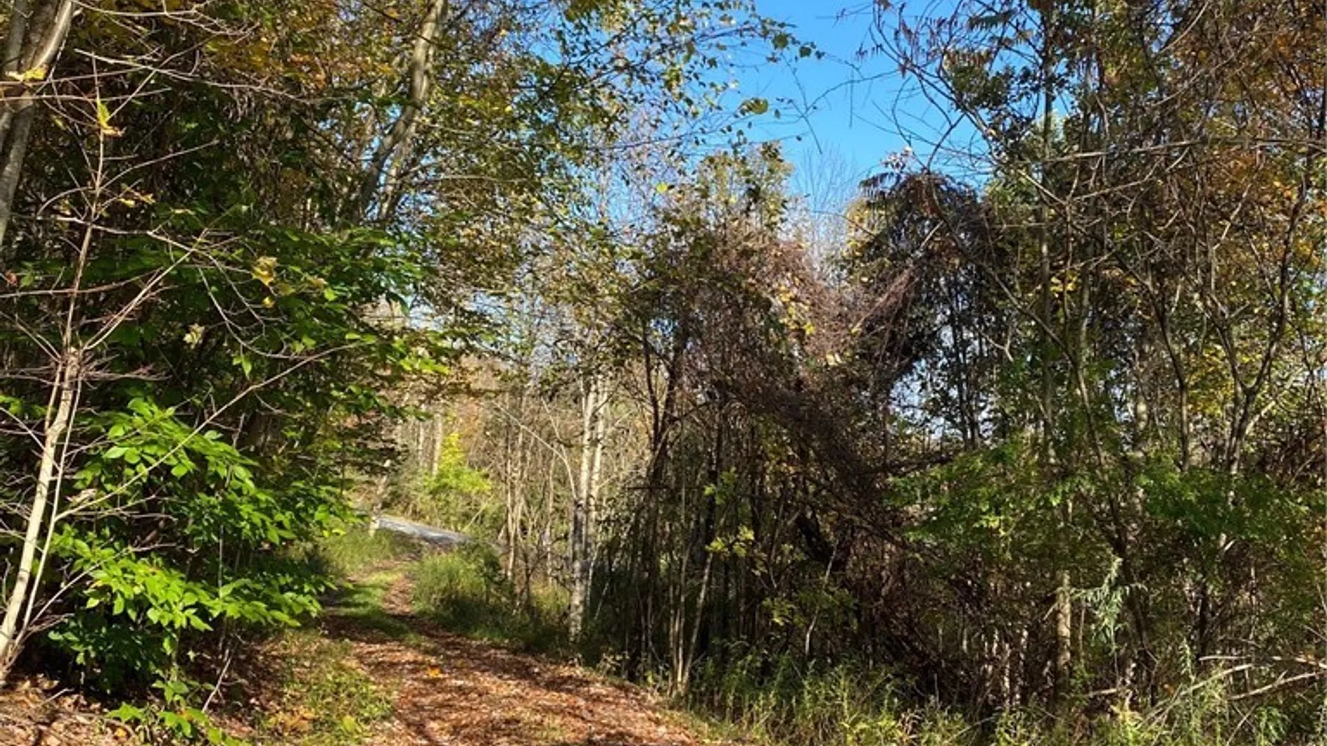 Property at V/L Hillcroft Drive, Boston, NY 14025 12