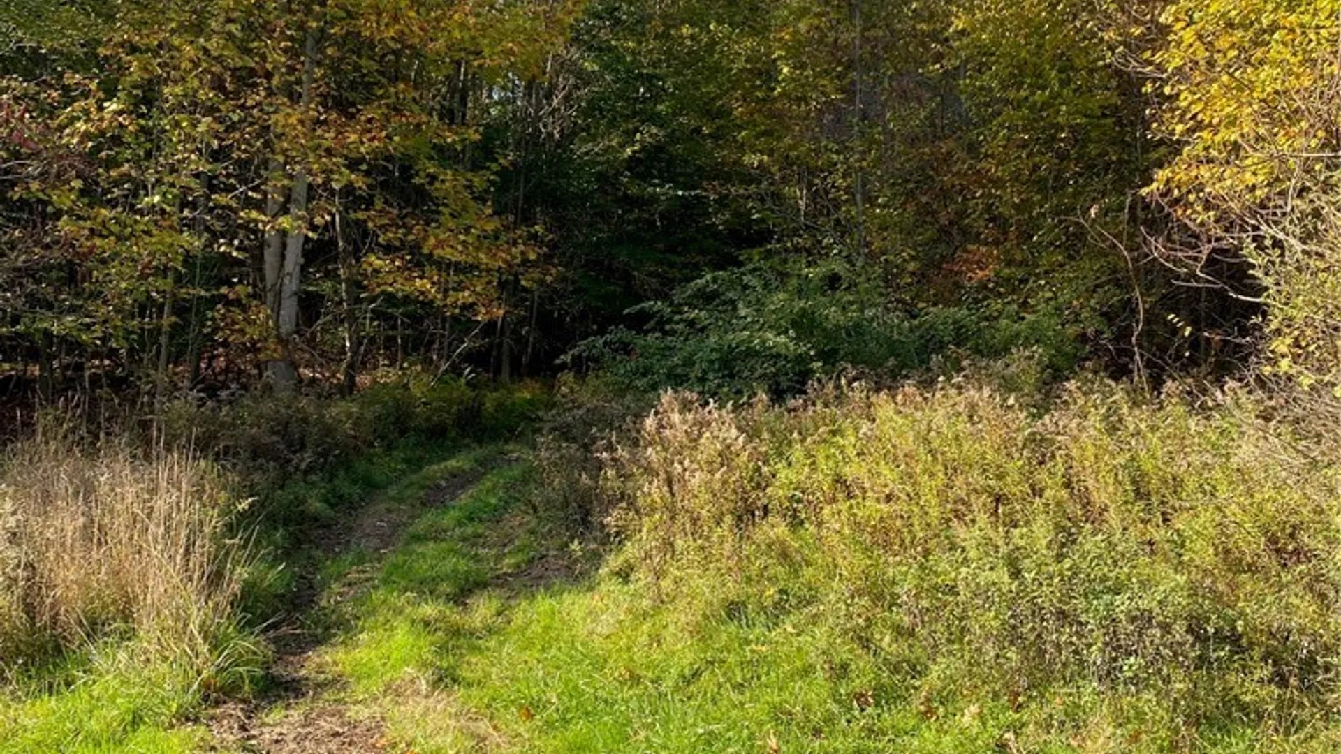 Property at V/L Hillcroft Drive, Boston, NY 14025 14