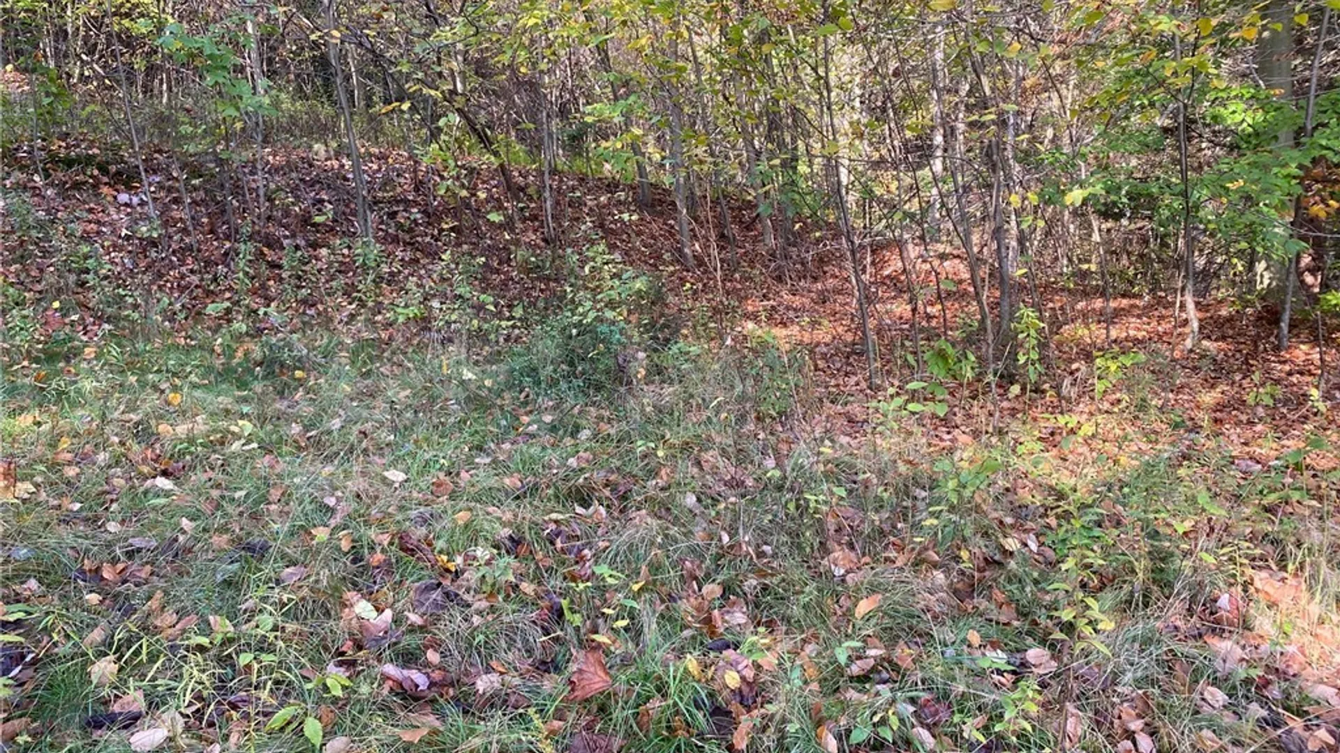 Property at V/L Hillcroft Drive, Boston, NY 14025 9