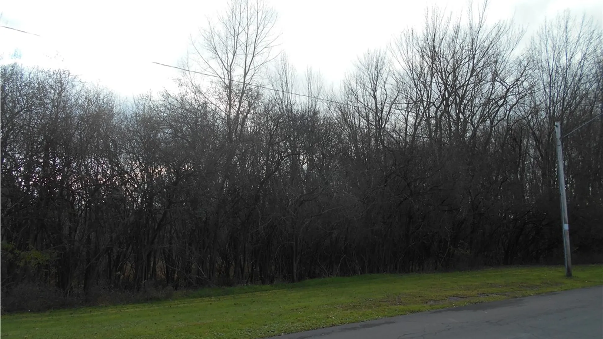 Property at 39 Olympia Avenue, Auburn, NY 13021 3