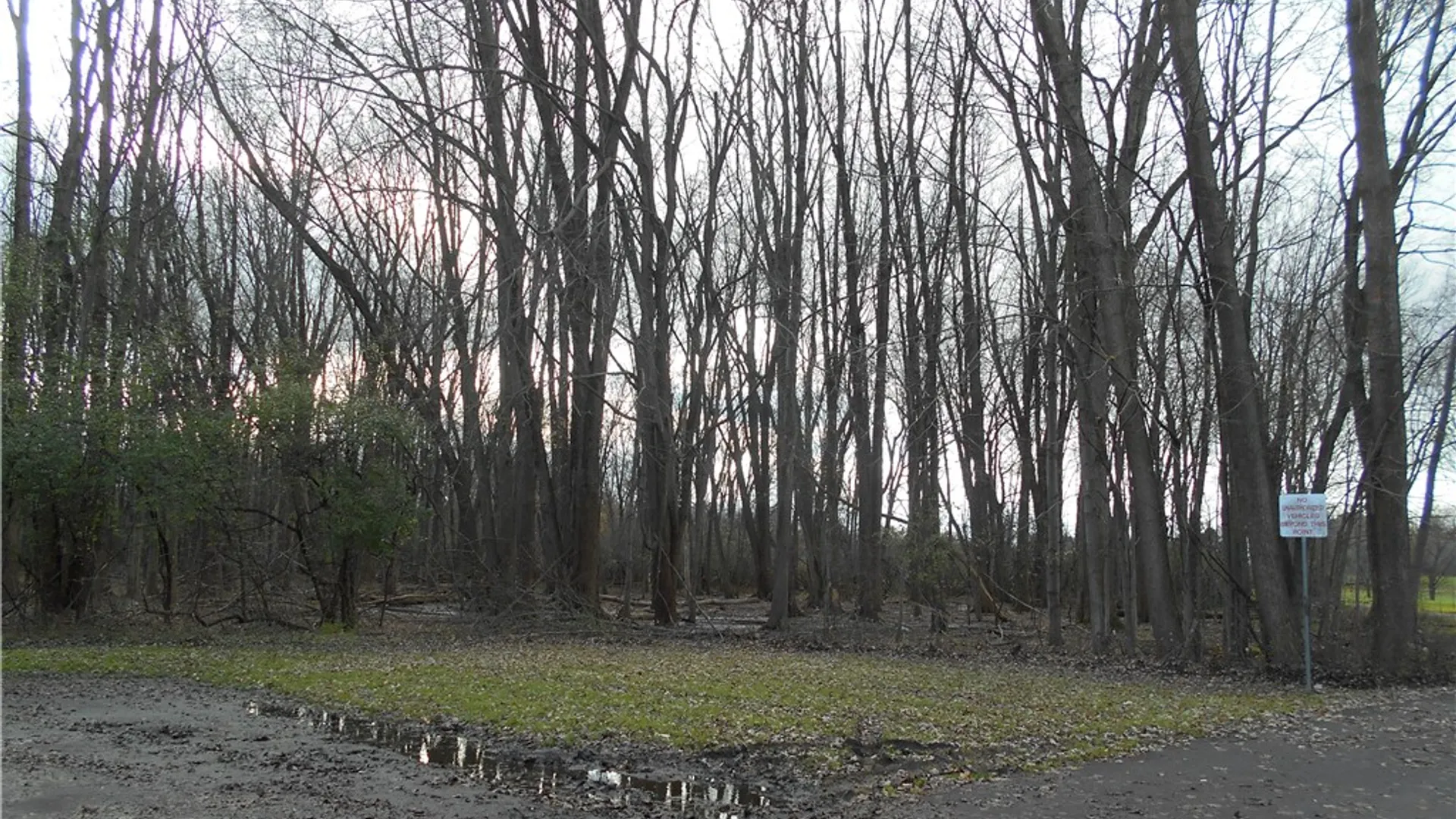 Property at 39 Olympia Avenue, Auburn, NY 13021 4