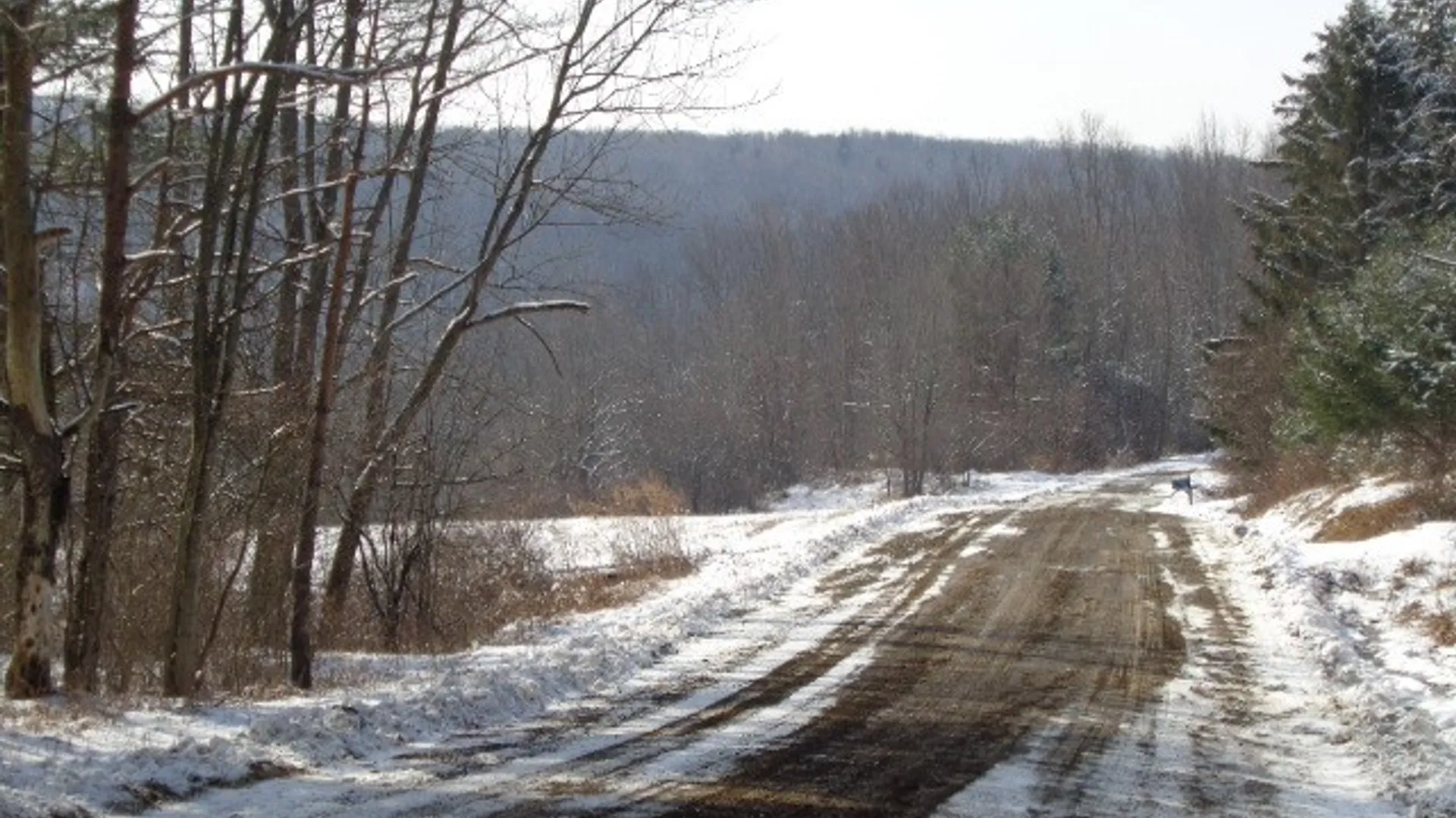 Property at 5151 Landis Road, Hartsville, NY 14843 2