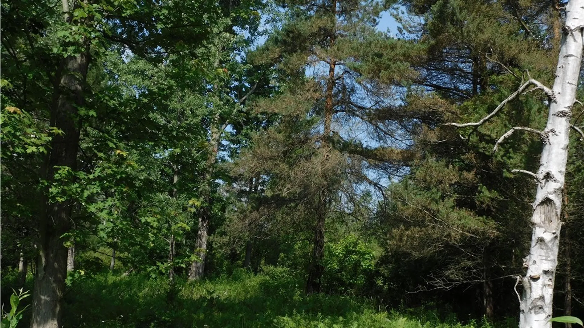 Property at 7692 Decker Road, Evans, NY 14047 4