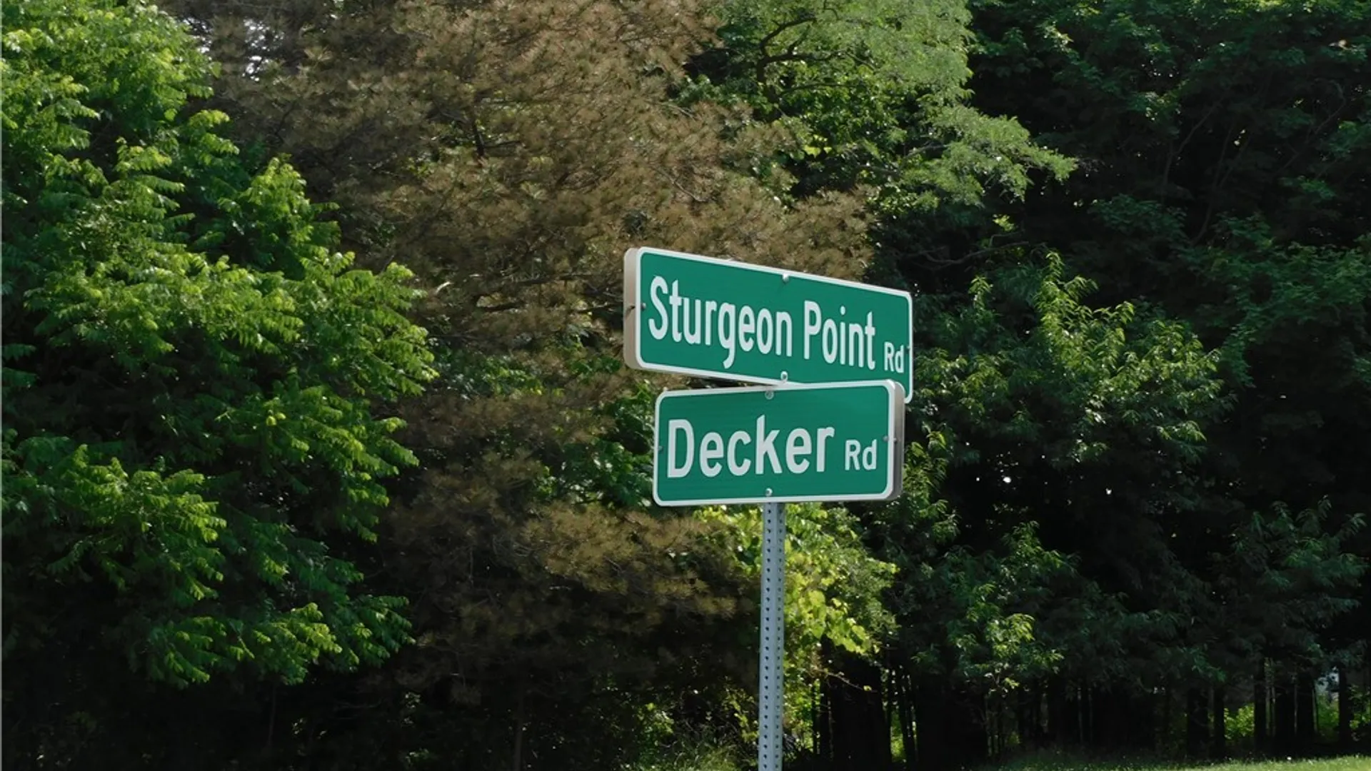 Property at 7692 Decker Road, Evans, NY 14047 5