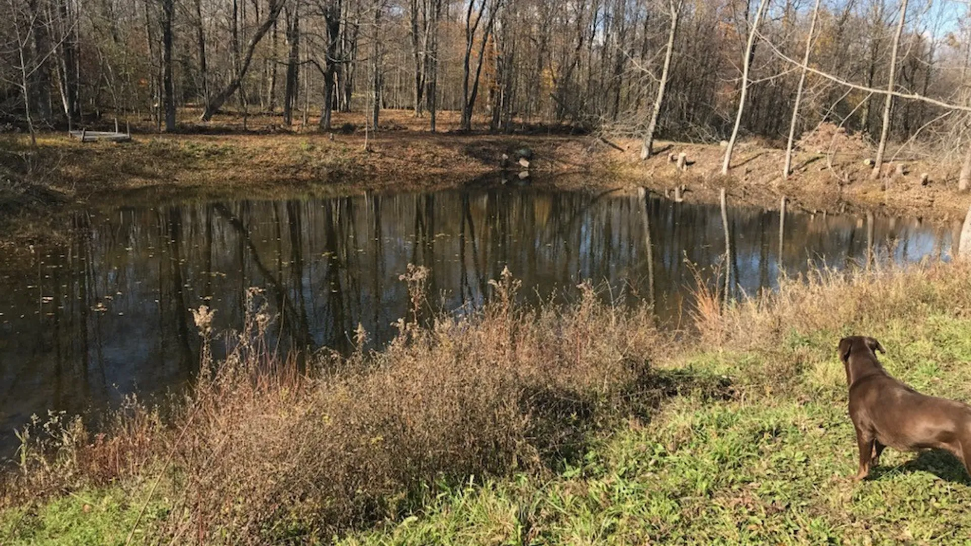 Property at 5503 Northrup Road, Smithfield, NY 13408 25