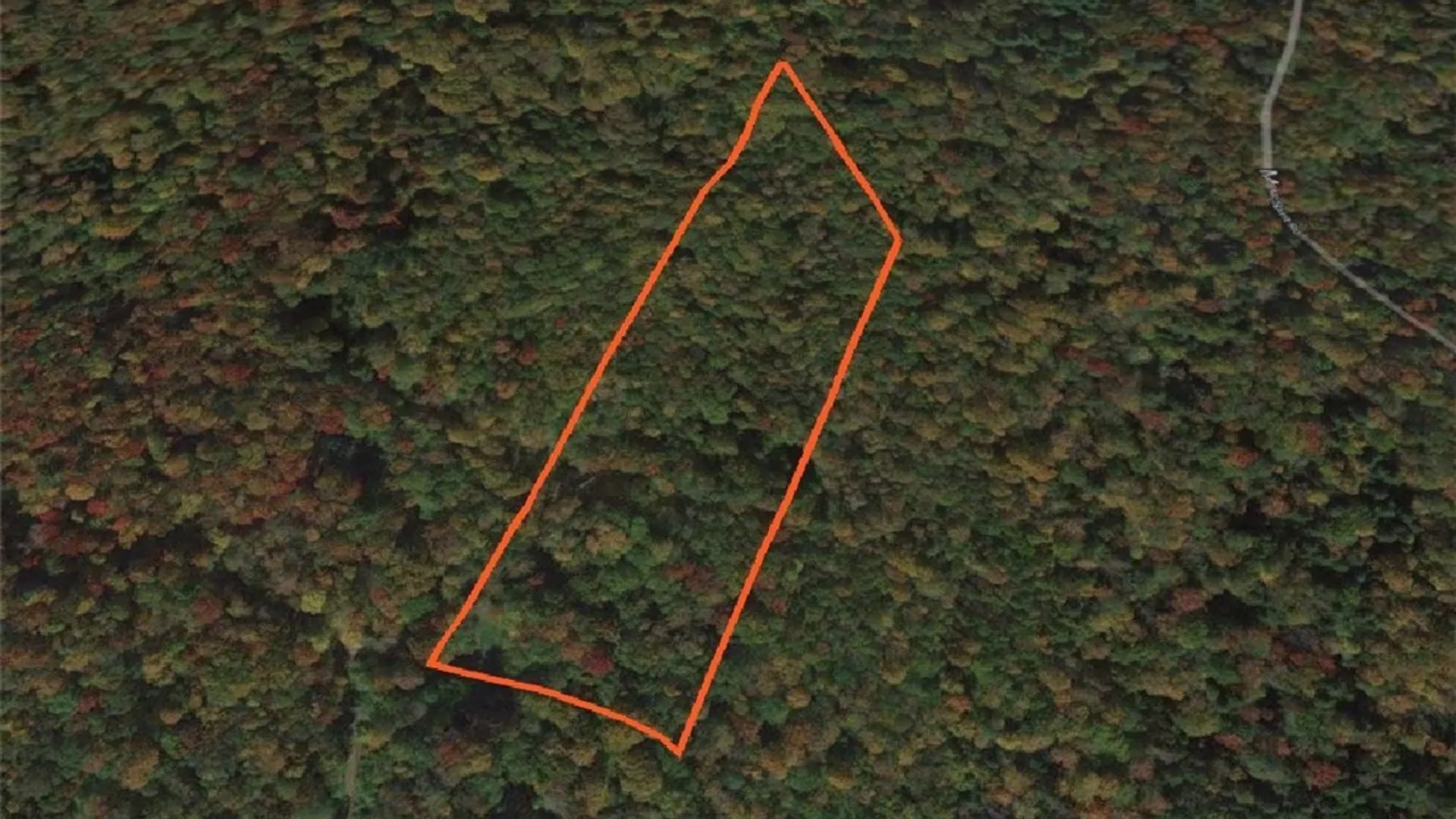 Property at 00 Florence Hill Road, Florence, NY 13316 4