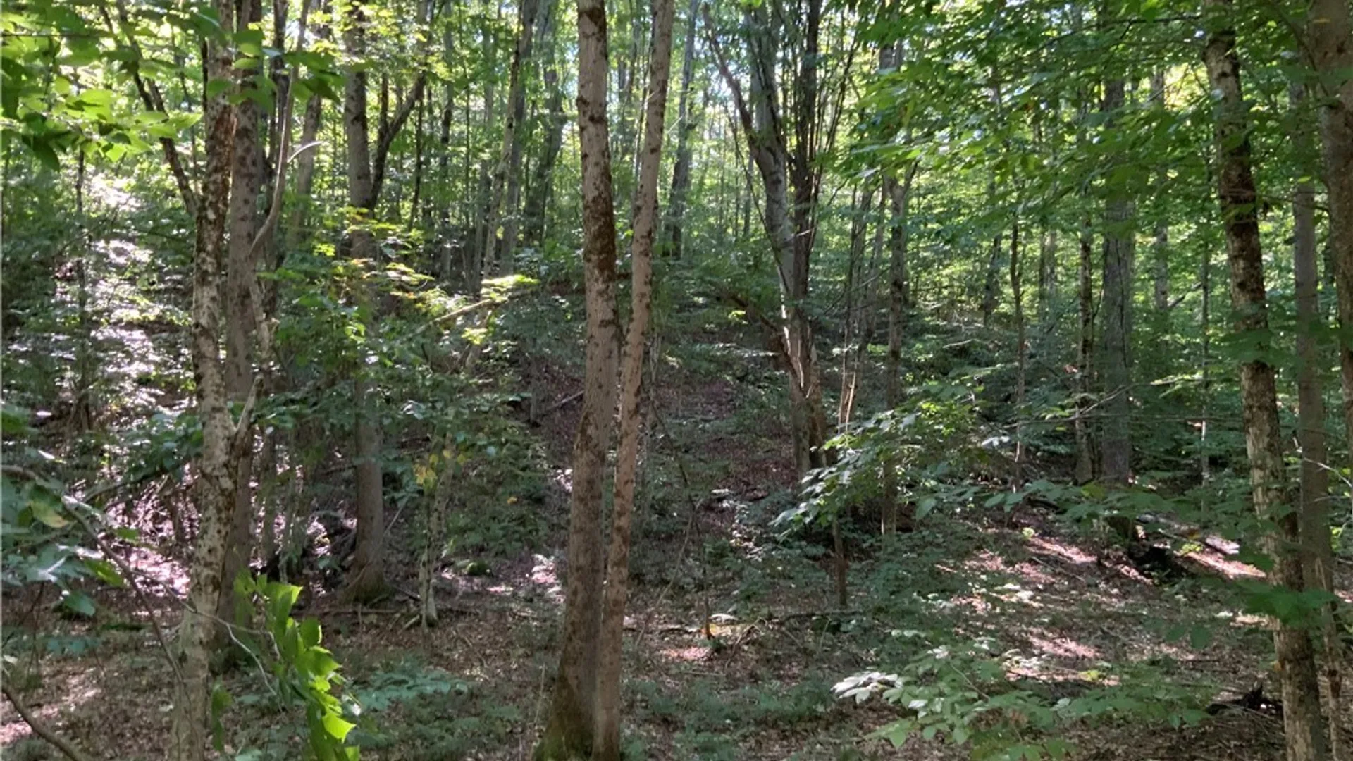 Property at 00 Florence Hill Road, Florence, NY 13316 44