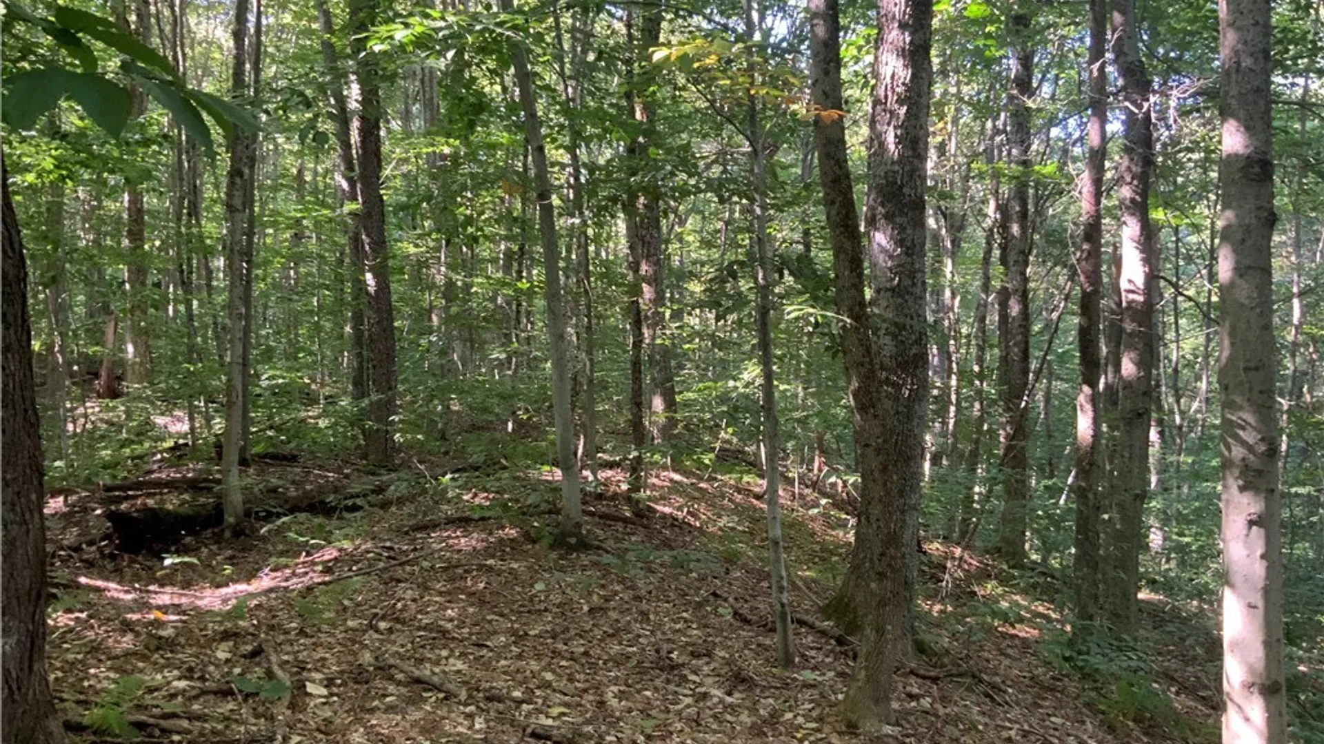 Property at 00 Florence Hill Road, Florence, NY 13316 45