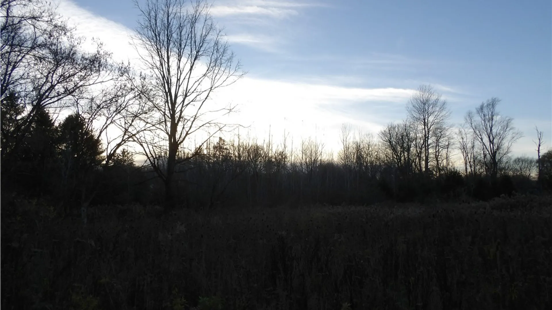 Property at 82-84 Main Street, Dryden, NY 13053 15