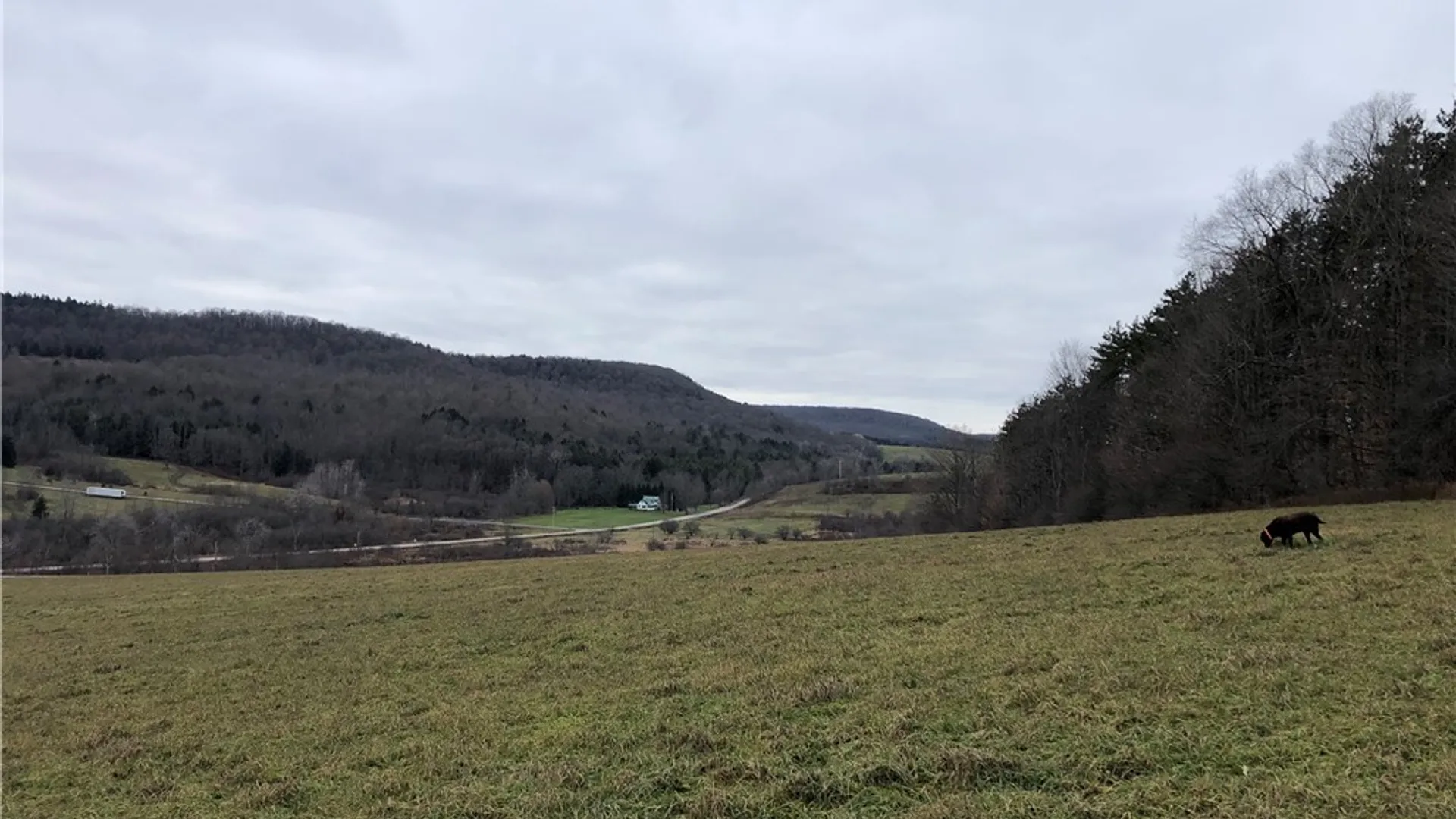 Property at 5073 Lebanon Road, Lebanon, NY 13332 2