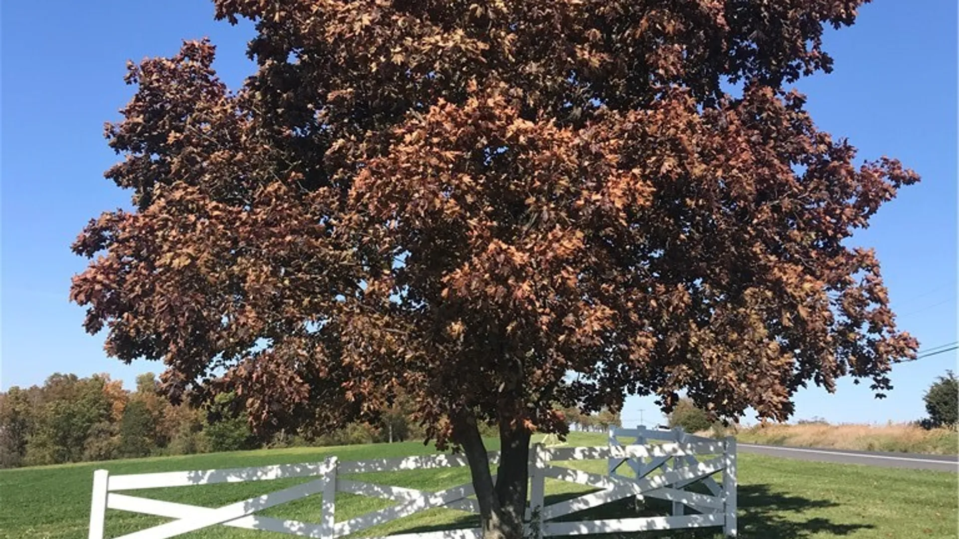 Property at 3625 State Route 90 Lot 5, Ledyard, NY 13026 14