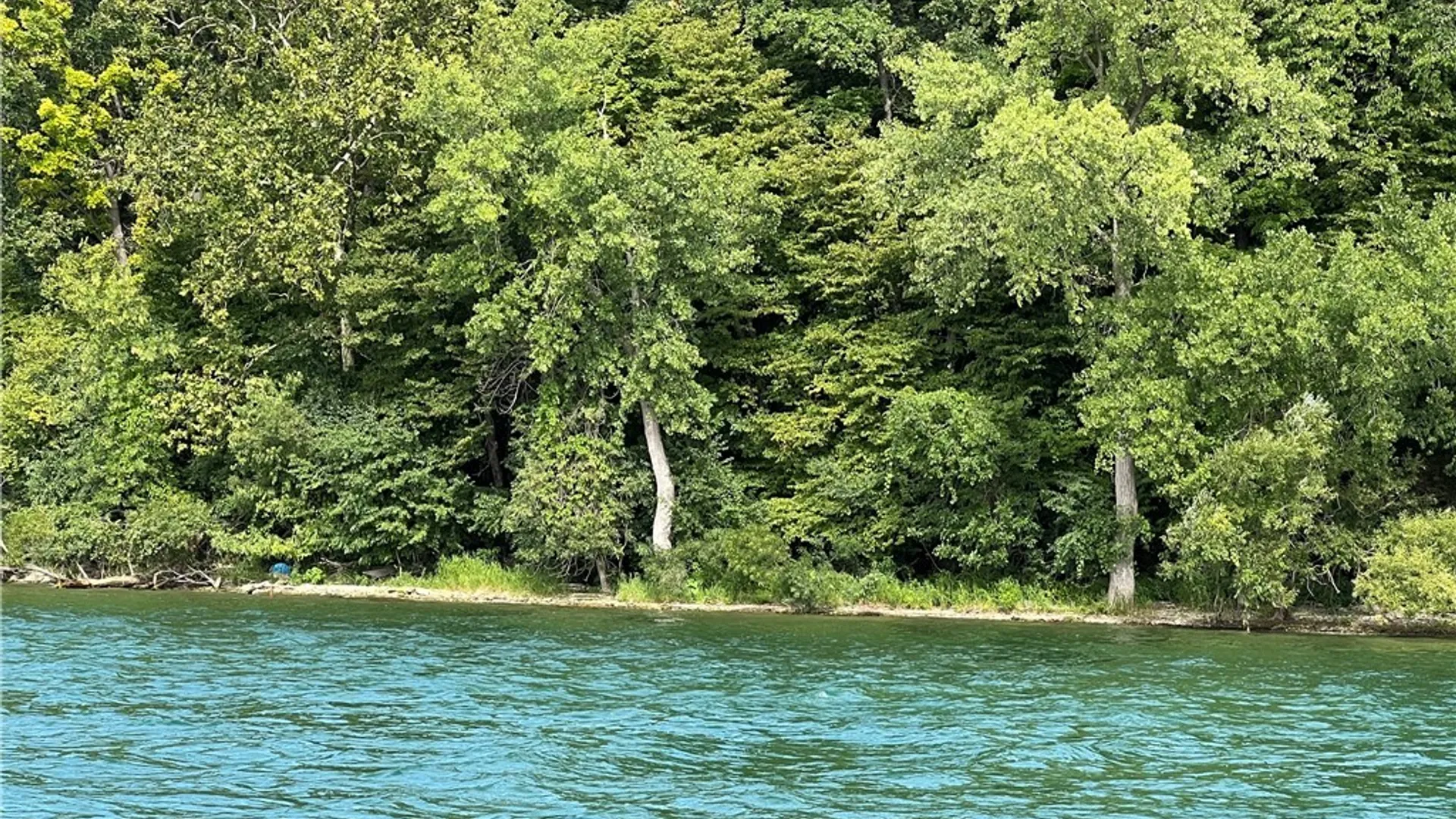 Property at 3625 State Route 90 Lot 5, Ledyard, NY 13026 21