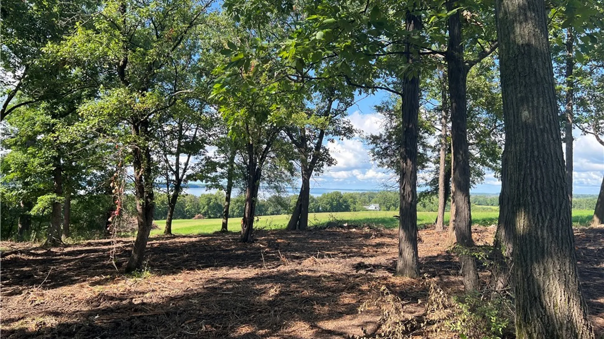 Property at 3625 State Route 90 Lot 5, Ledyard, NY 13026 25