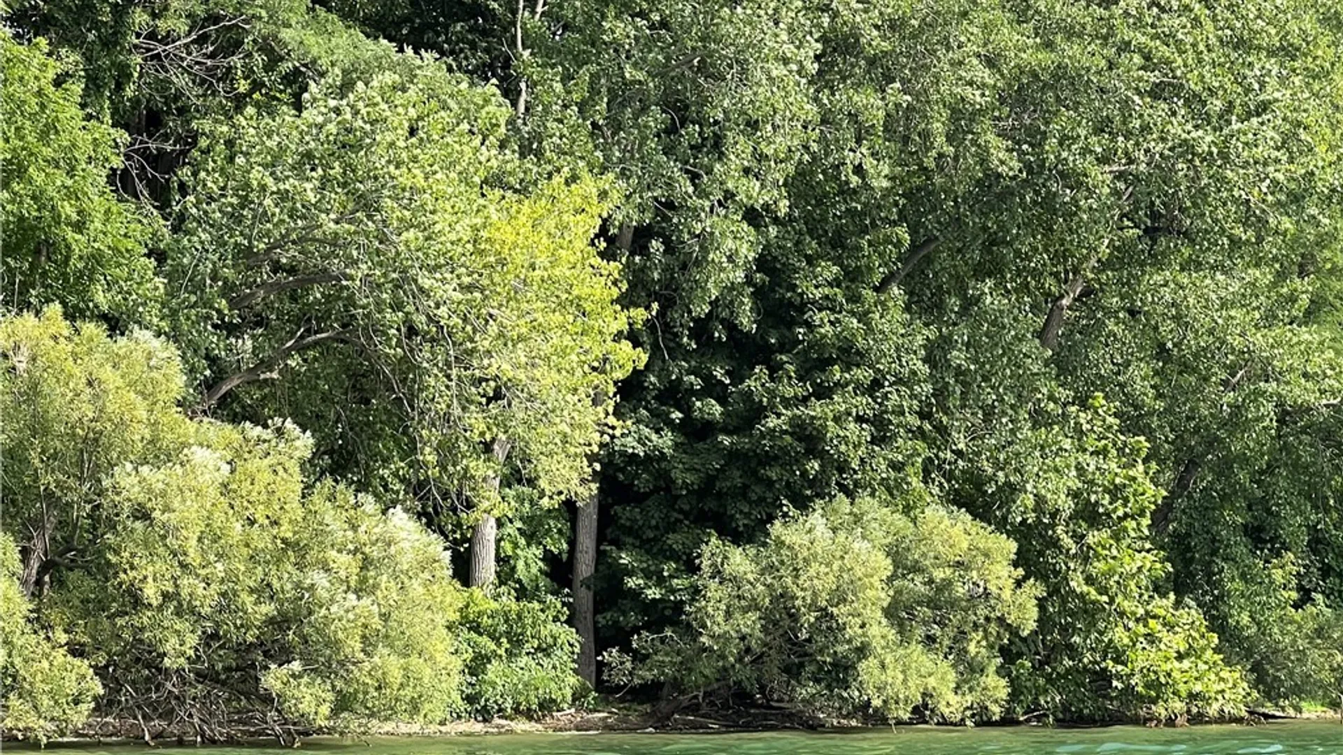 Property at 3625 State Route 90 Lot 5, Ledyard, NY 13026 27