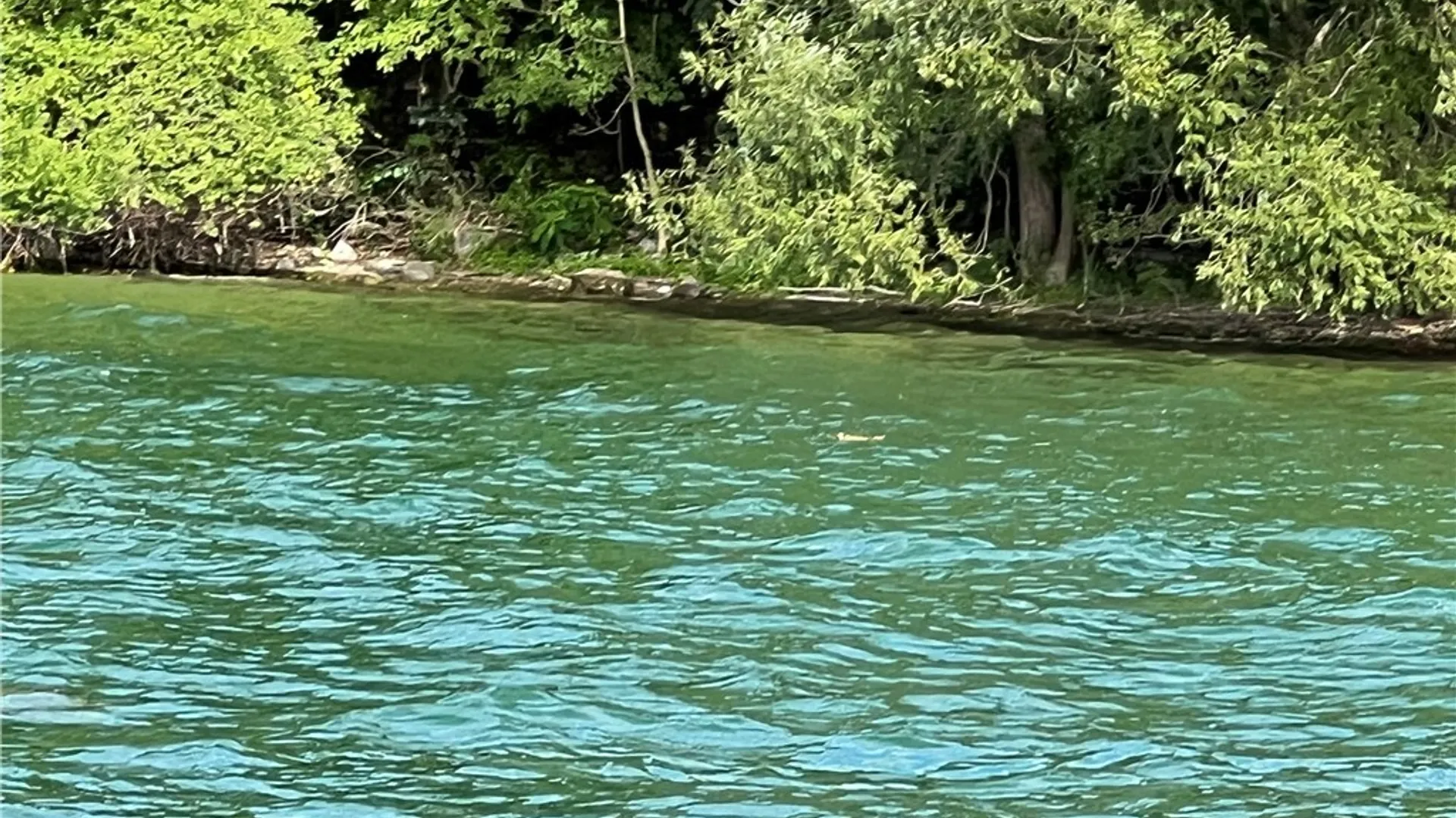 Property at 3625 State Route 90 Lot 5, Ledyard, NY 13026 28