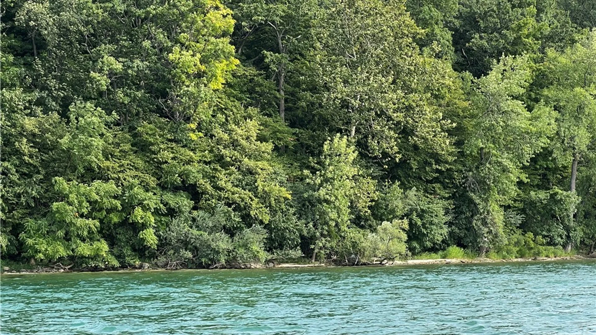 Property at 3625 State Route 90 Lot 5, Ledyard, NY 13026 29