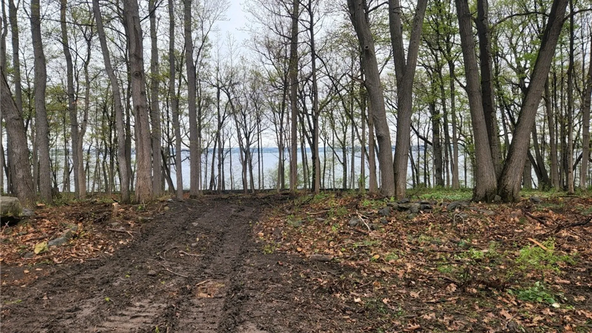 Property at 3625 State Route 90 Lot 5, Ledyard, NY 13026 31