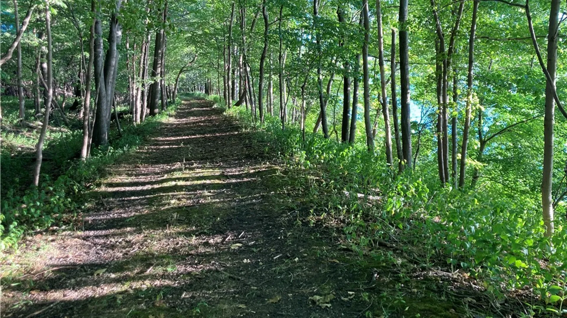 Property at 3625 State Route 90 Lot 5, Ledyard, NY 13026 32