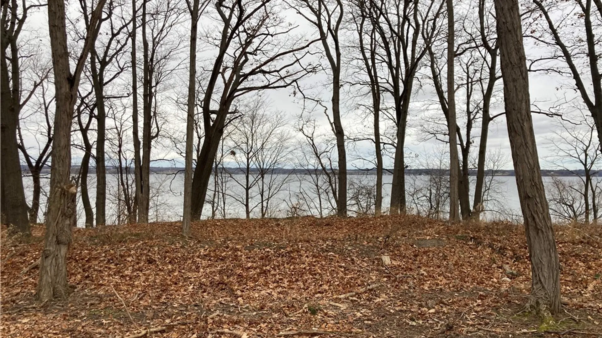 Property at 3625 State Route 90 Lot 5, Ledyard, NY 13026 33