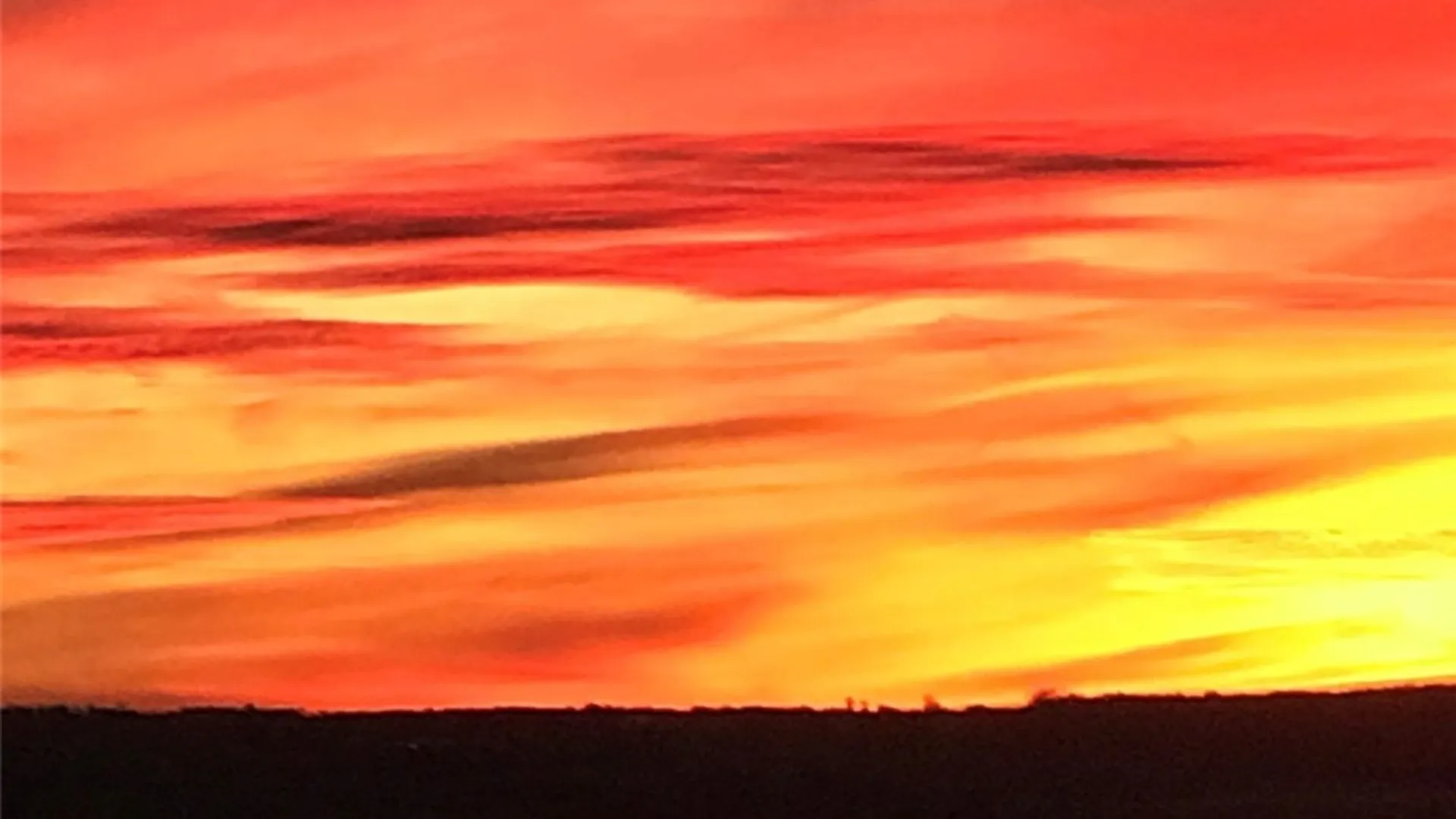 Property at 3625 State Route 90 Lot 5, Ledyard, NY 13026 35