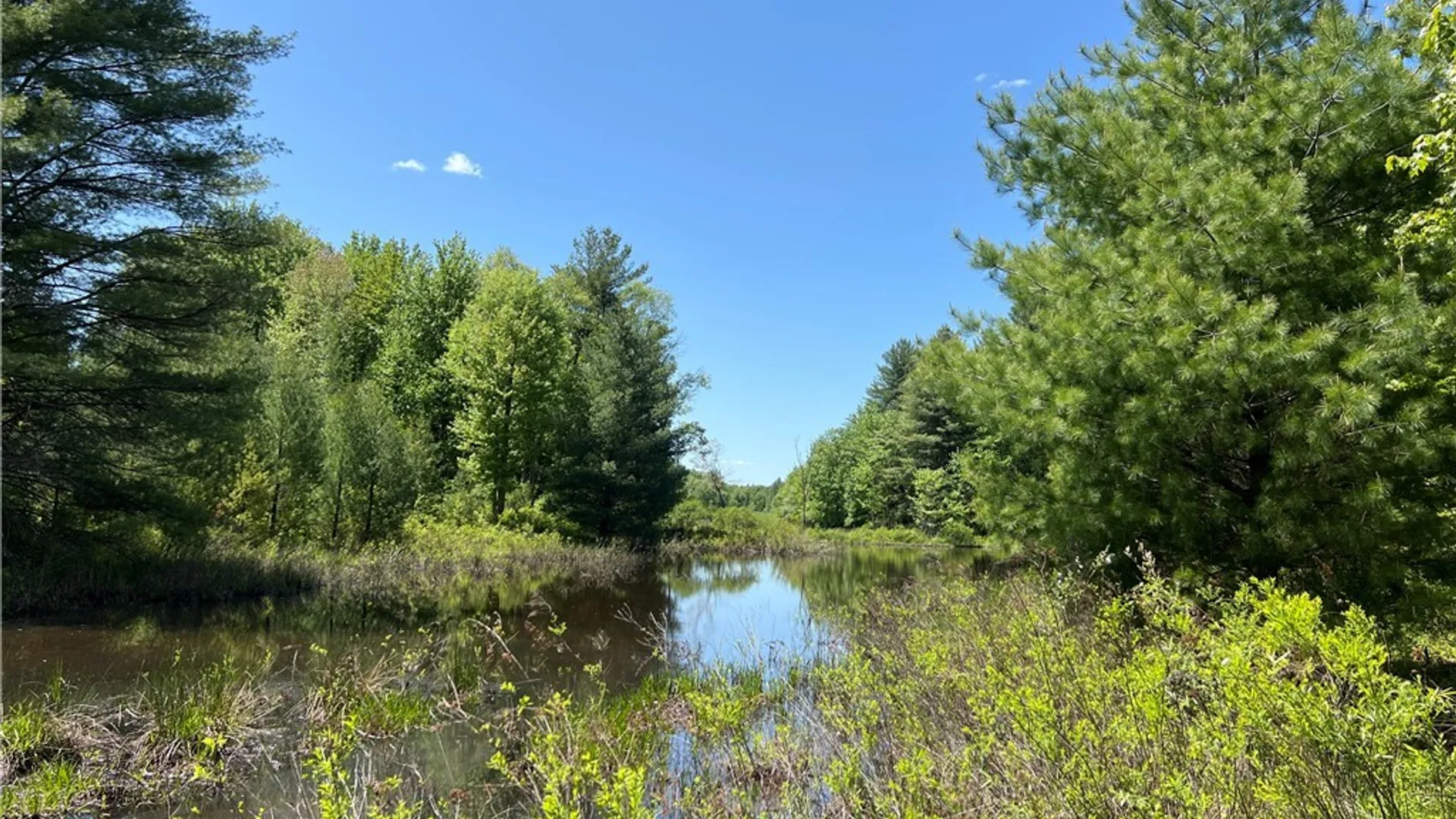 Property at 5219 Rome Taberg Road, Rome, NY 13440 8