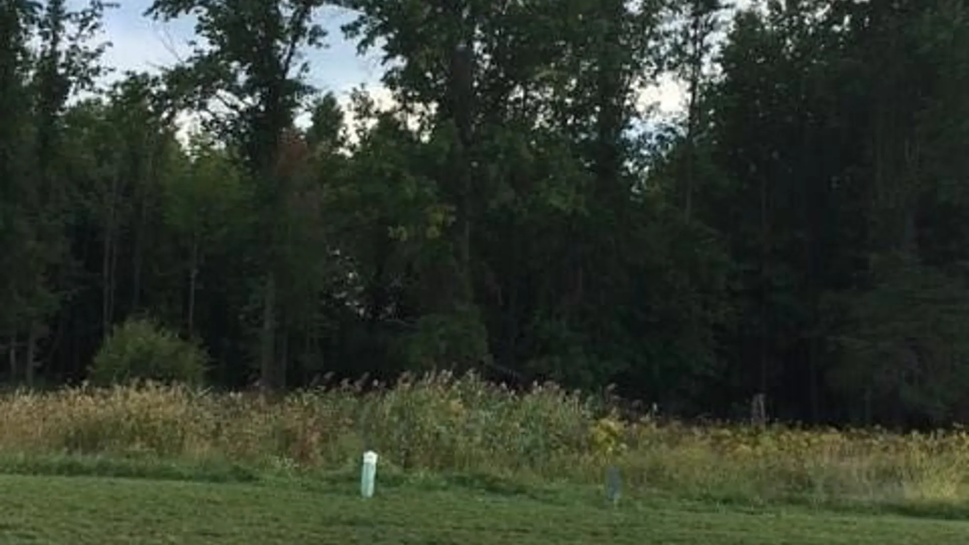 Property at 525 Riverwalk Drive, Lewiston, NY 14092 2