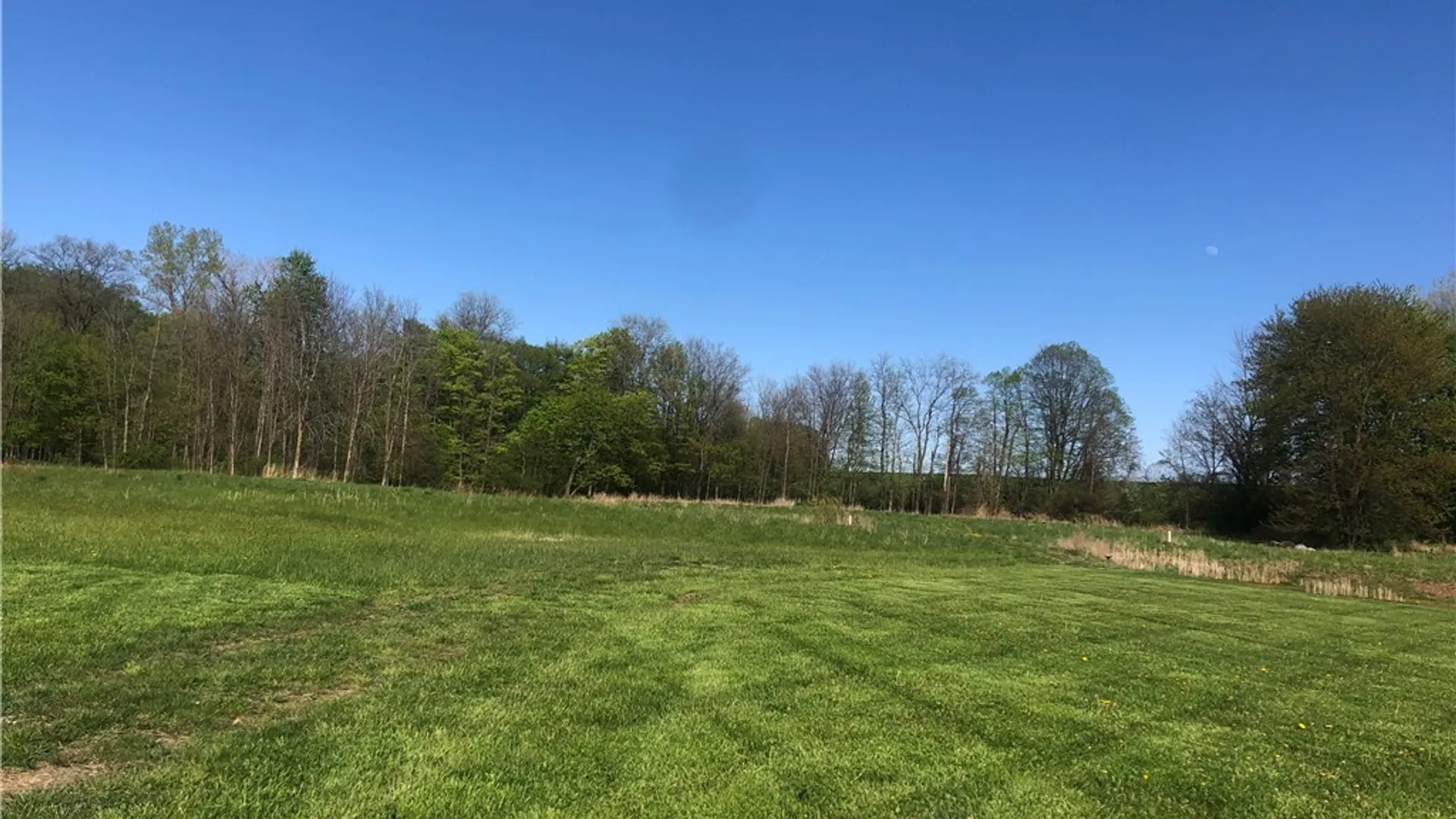 Property at 1 Poinciana Drive, Pittsford, NY 14534 2