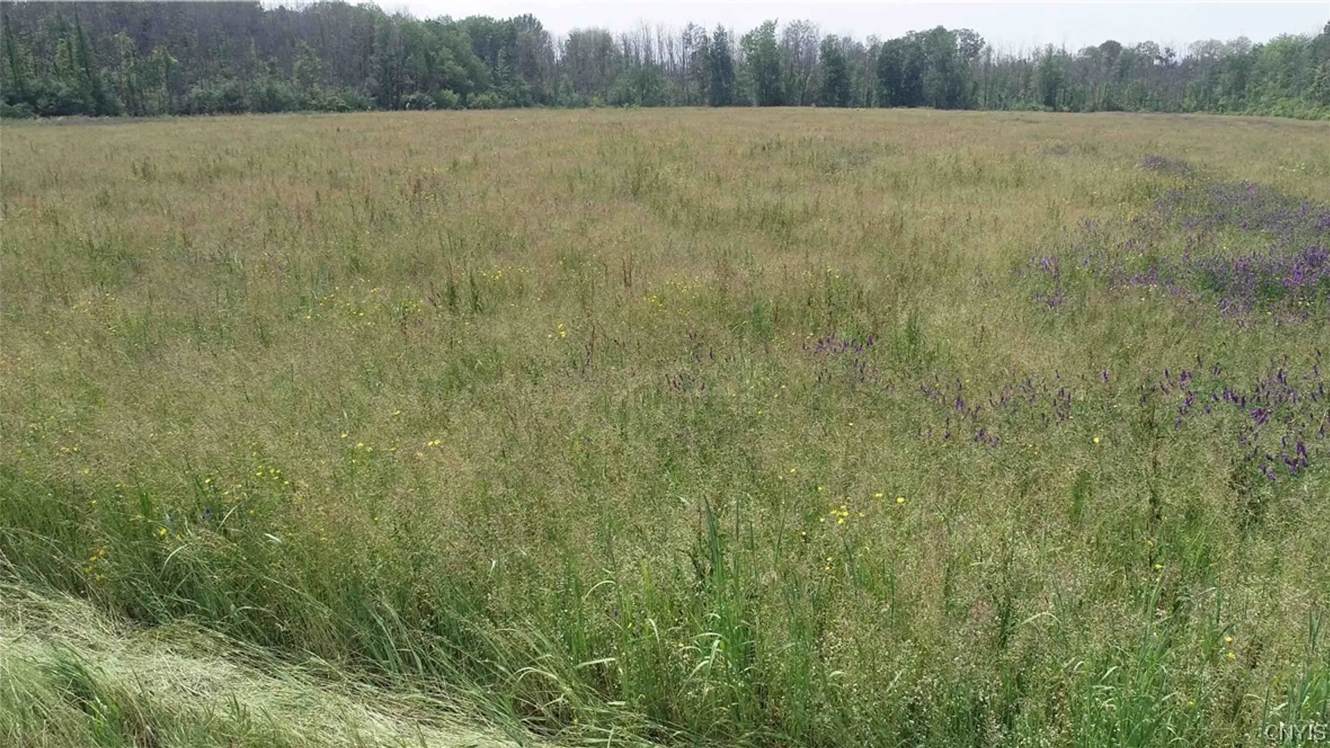 Property at L18 Co Rt 12, Schroeppel, NY 13132 2