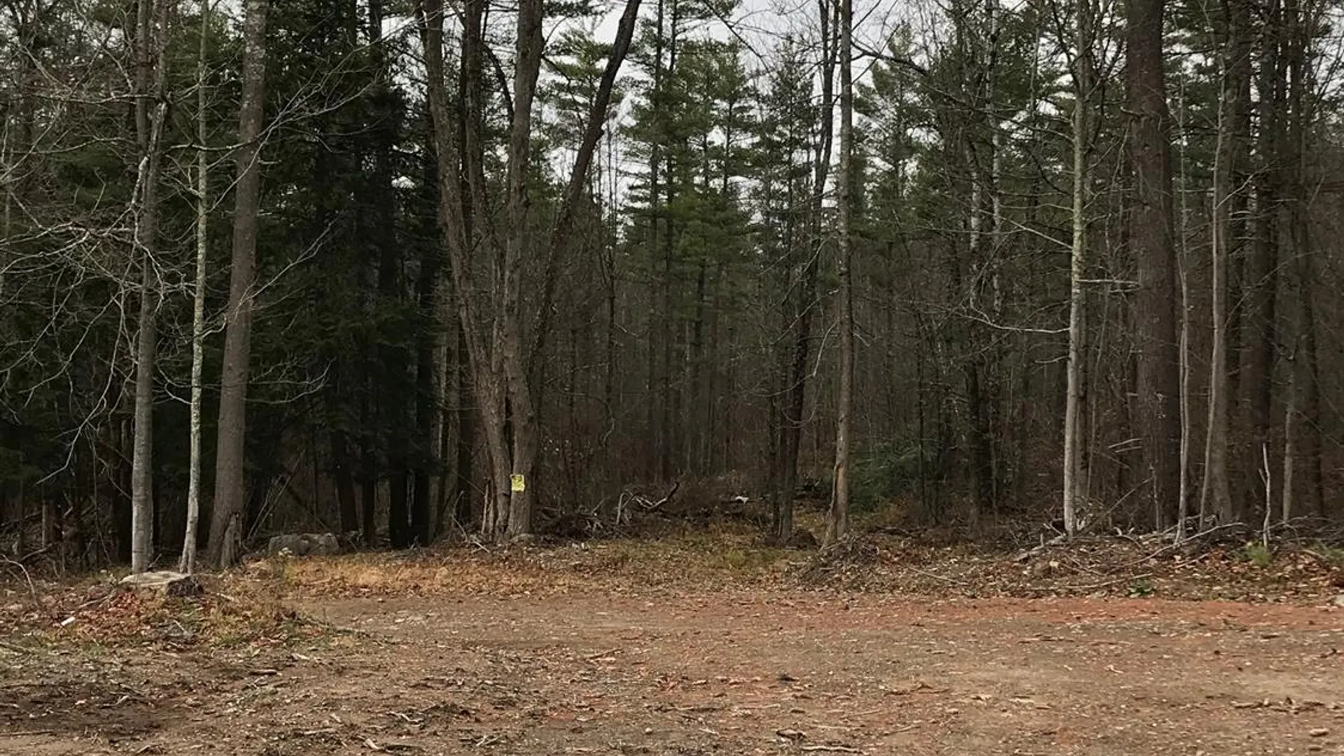 Property at 0 Huntersland Road, Middleburgh, NY 12122 10