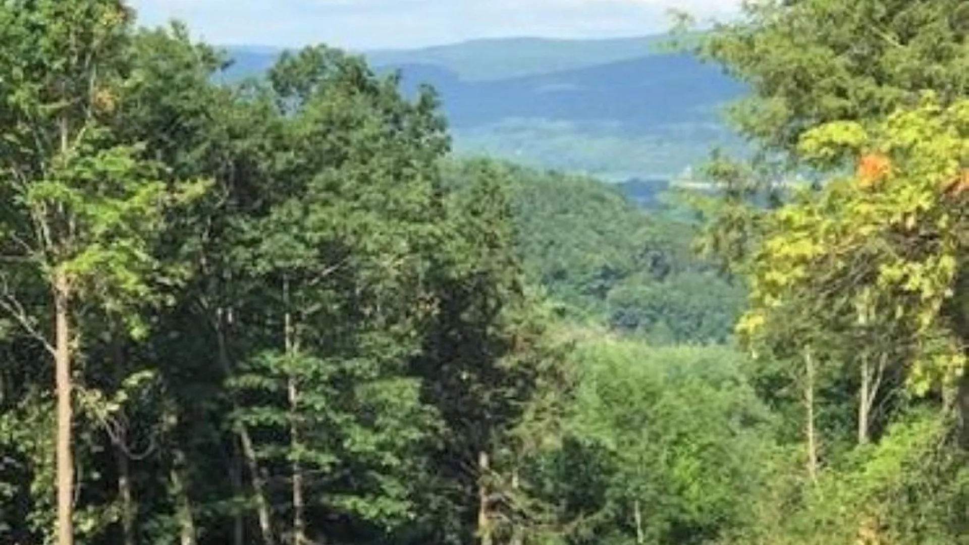 Property at 0 Huntersland Road, Middleburgh, NY 12122 12