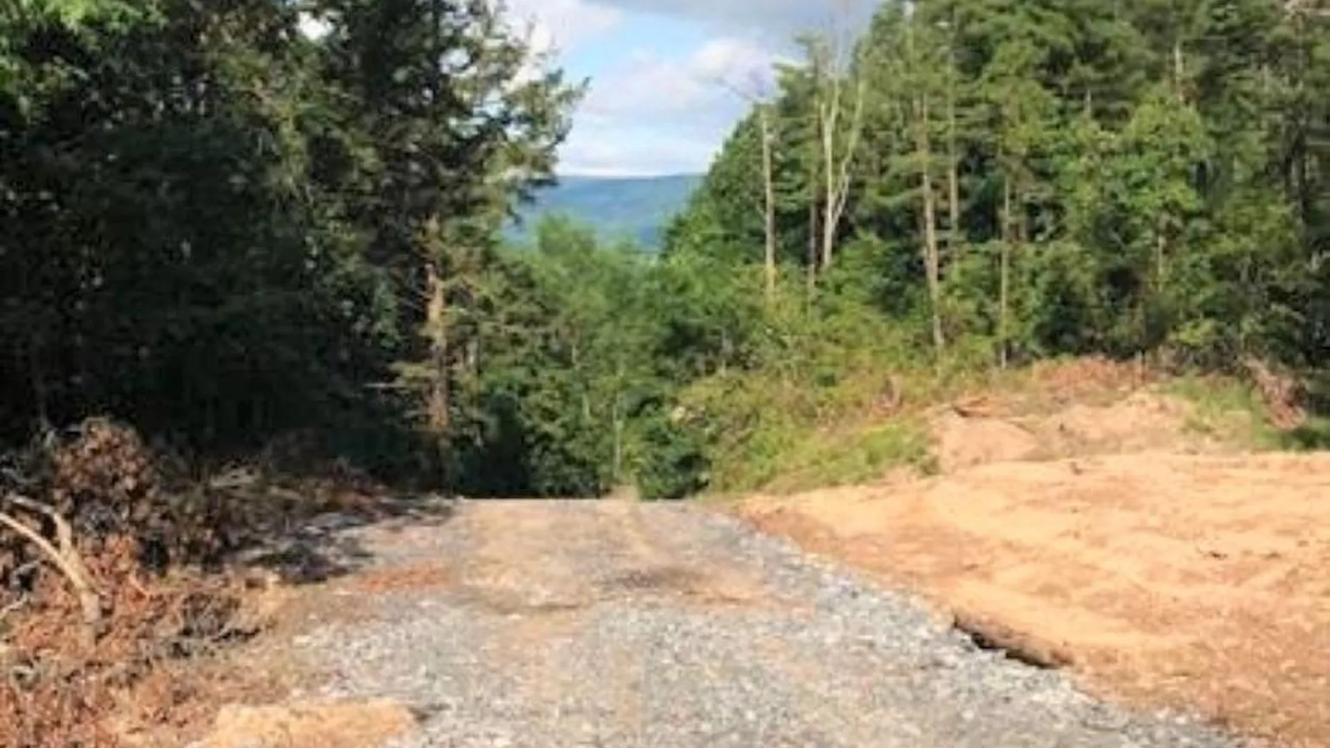 Property at 0 Huntersland Road, Middleburgh, NY 12122 2