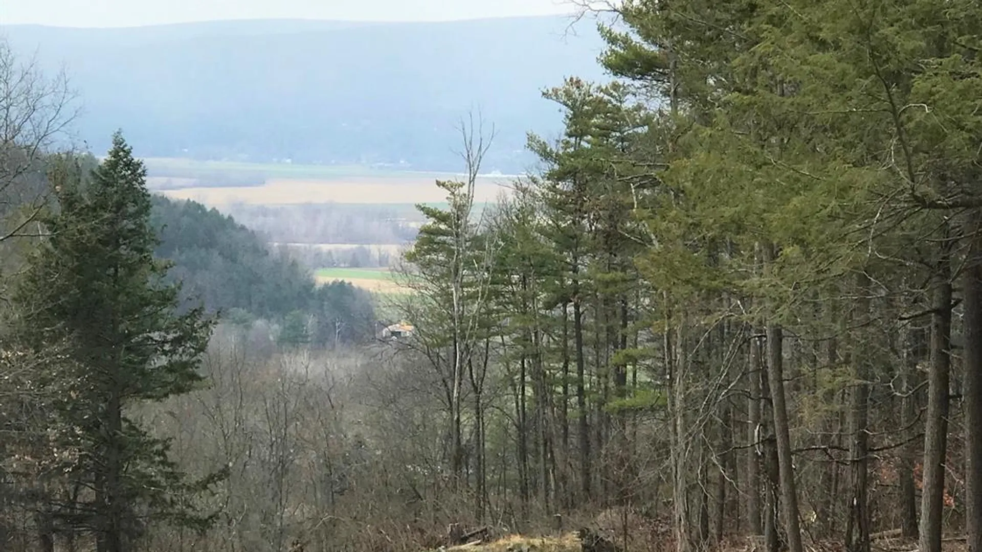 Property at 0 Huntersland Road, Middleburgh, NY 12122 6